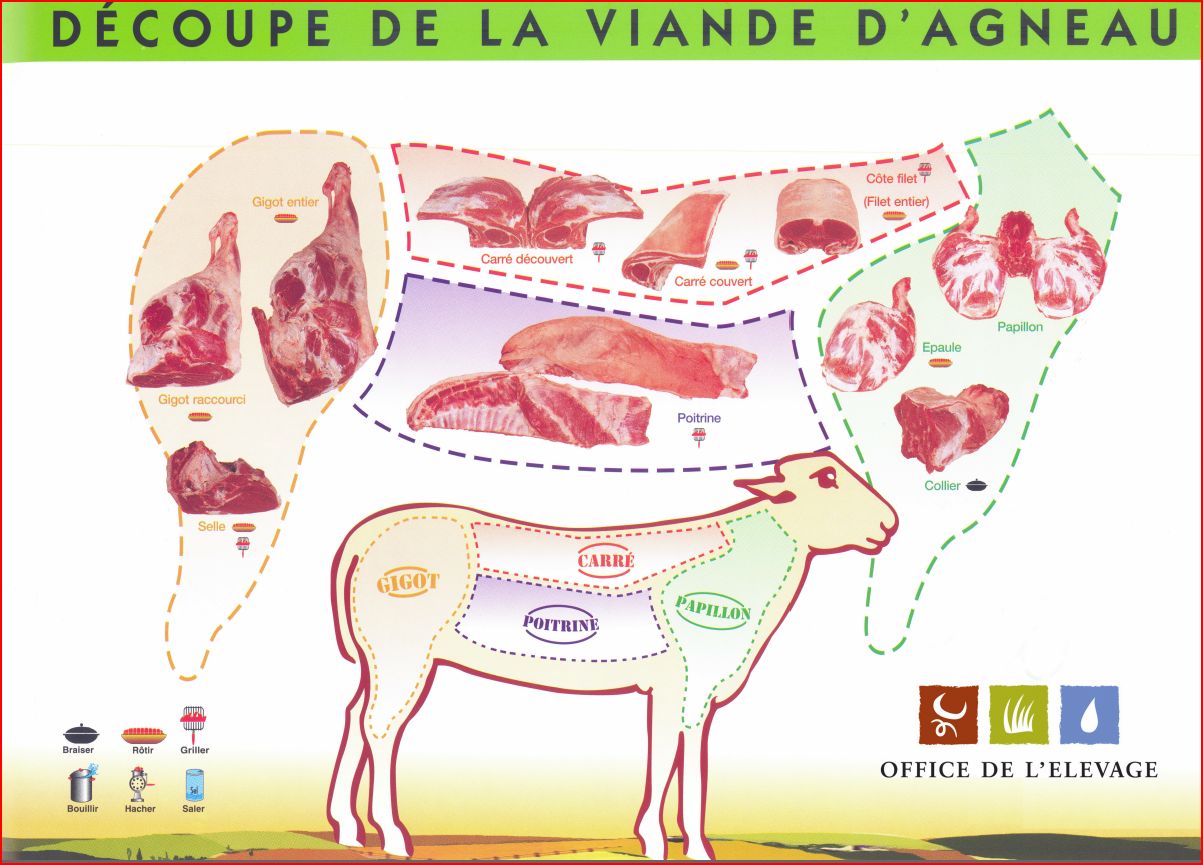 schema-decoupe-viande-agneau