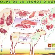 schema-decoupe-viande-agneau