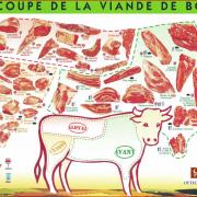 schema decoupe viande boeuf